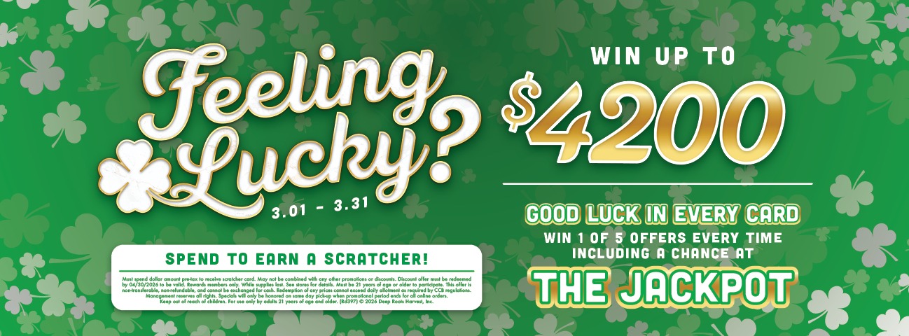 feeling lucky generic 